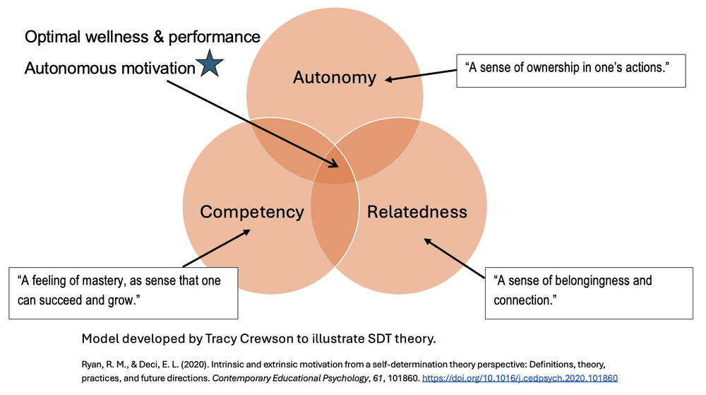 ryan deci diagram