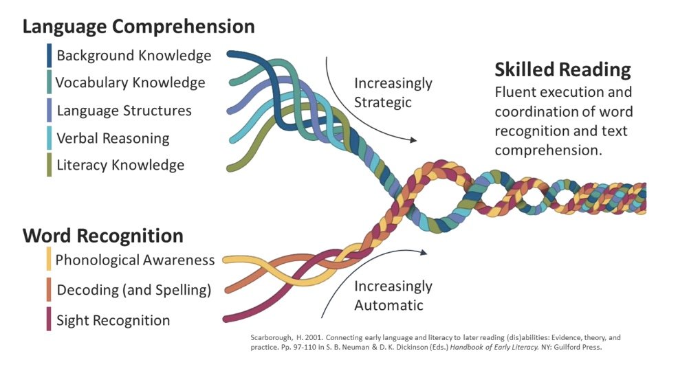 literacy scarborough